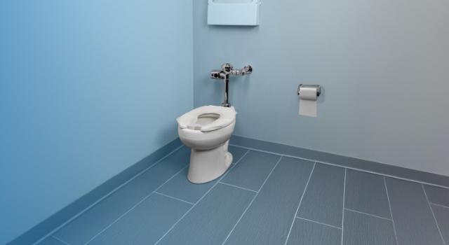 Choose Discreet Seat® High-Quality Toilet Seat Covers
