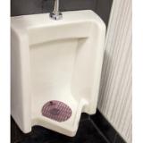 Hospeco® AirWorks® Urinal Screen, 10/bx, Vineyard AWUS234 BX 2