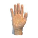 Safety Zone® Polyethylene Powder-Free Gloves, 10x100, Clear, 2 mil  - Small GDCP SM 4