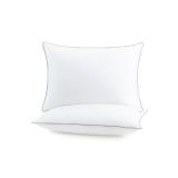 HOST & HOME 2 PACK PILLOW QUEE HH 2PK PIL QN