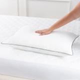 HOST & HOME 2 PACK PILLOW QUEE HH 2PK PIL QN 3