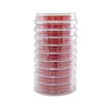 Blood Agar 5%, 15 x 65 mm Contact Plate, 10/pack P33