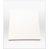 PHARMA-NOTES™ Cleanroom Sticky Notes Non-Shedding White PN797