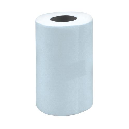 PL CLEANROOM ROLLS 6X9, 100/RL, 48 RLS/CS PWCRPC 69